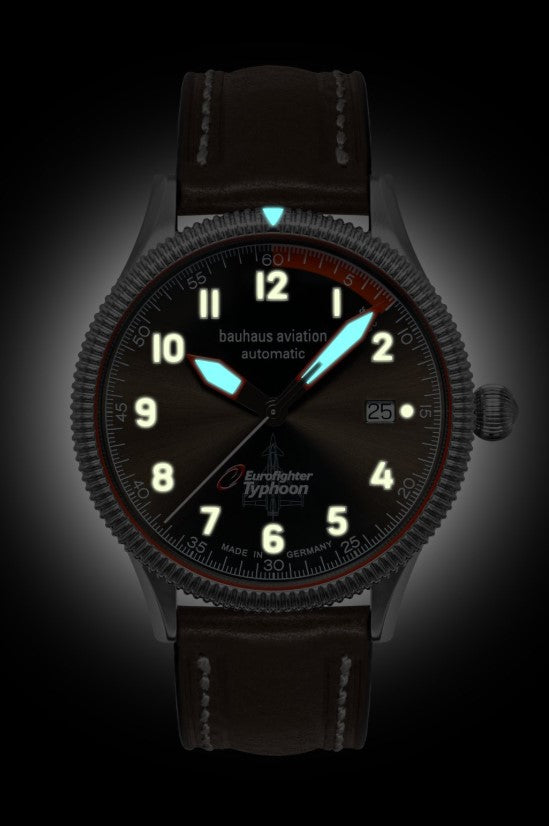 Bauhaus Aviation Eurofighter Typhoon 2556-2